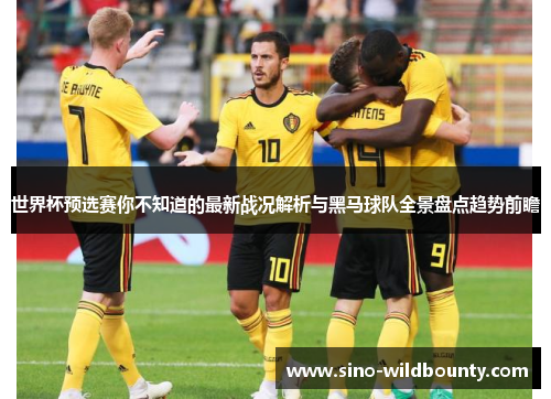 世界杯预选赛你不知道的最新战况解析与黑马球队全景盘点趋势前瞻