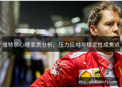 维特尔心理素质分析,压力应对与稳定性成焦点 维特尔心理素质分析,压力应对与稳定性成焦点