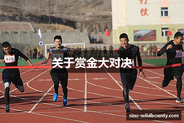 关于赏金大对决